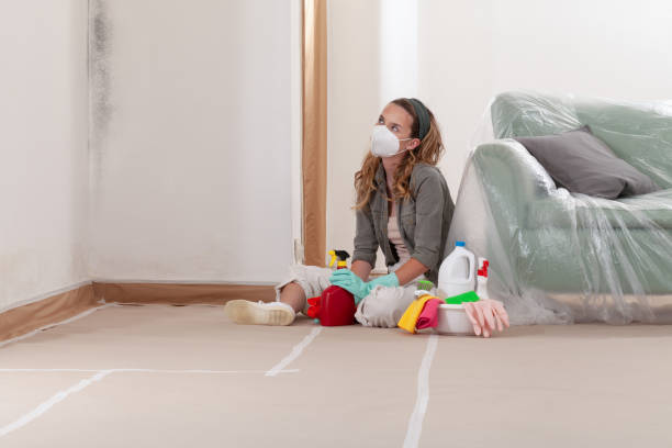 Reliable Black Mold Remediation contractor in Dallas, TX by Car Mold Remediation
